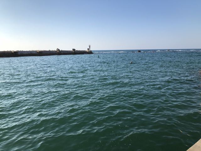 Tel Aviv Port