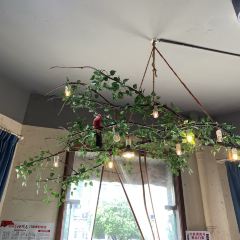 安吉人家·一鼎鲜土菜馆 User Photo