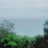 評論圖片 6
