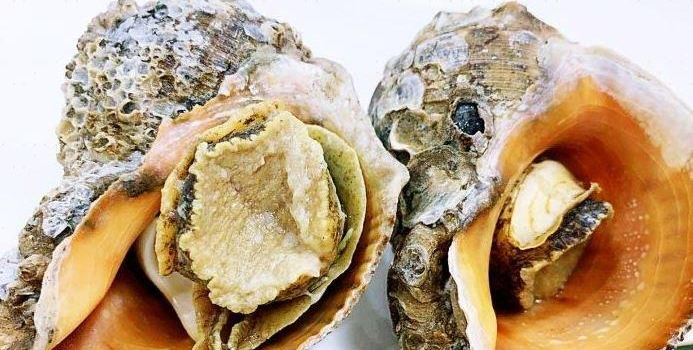昌黎天明宾馆·犇羴鱻海鲜大排档(黄金海岸店)