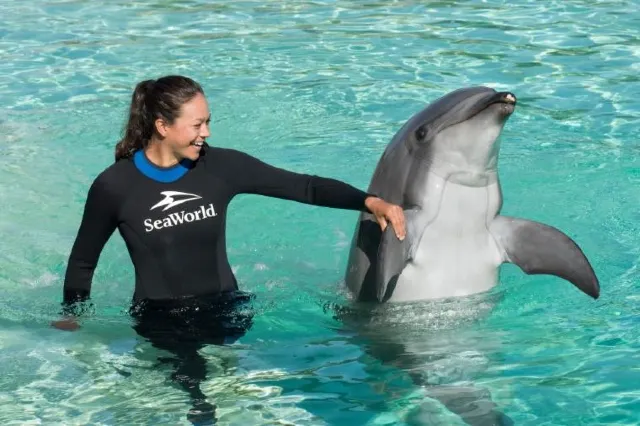 A Guide to Help Ace a SeaWorld San Diego Visit