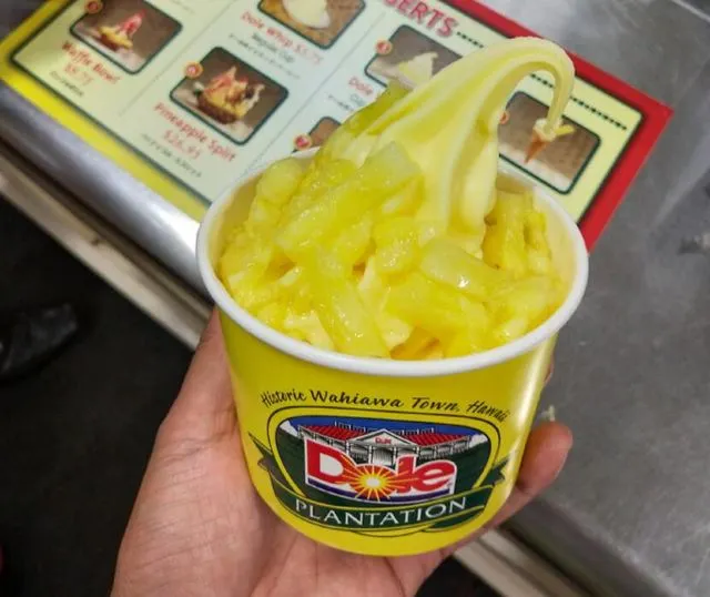 繽紛夏威夷 | 如何玩轉彩虹州,這幾種顏色告訴你!