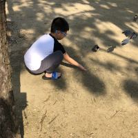 評論圖片 8