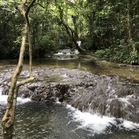 評論圖片 9
