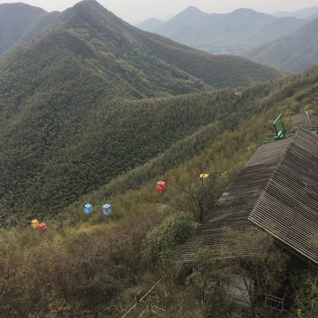 Nanshan Bamboo Sea