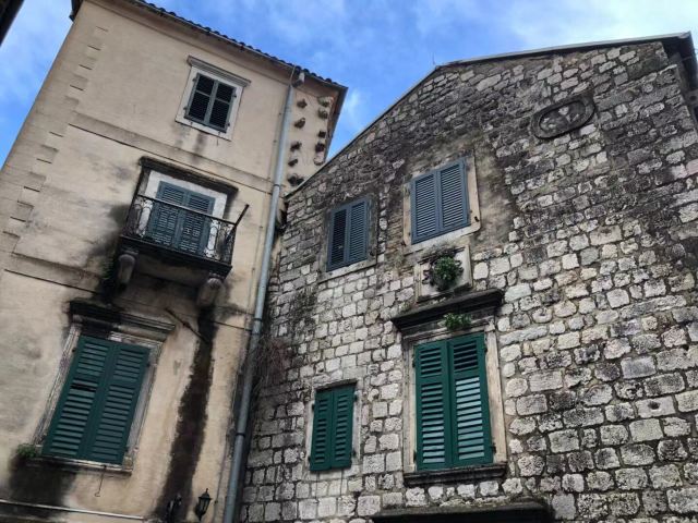 Kotor