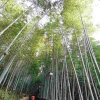 評論圖片 1