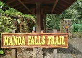 The Best Trail in Honolulu: Manoa Falls