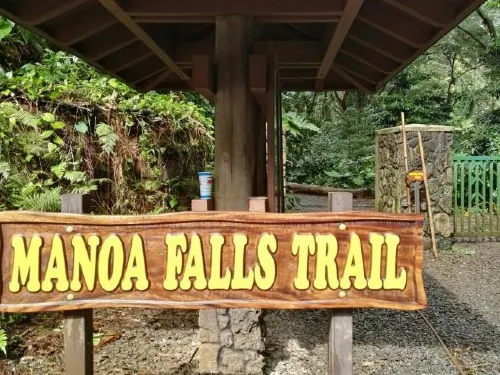 The Best Trail in Honolulu: Manoa Falls