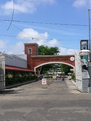 那牙卡塞雷斯大學博物館