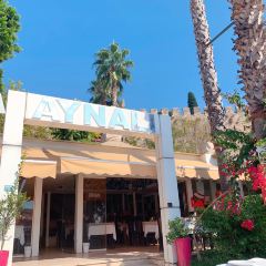 Aynali User Photo