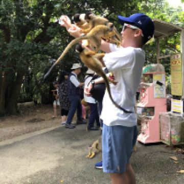 評論圖片 9
