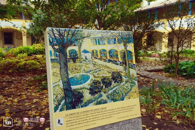 In Arles, Provence, Meet Van Gogh's Sunflowers and Starry Night