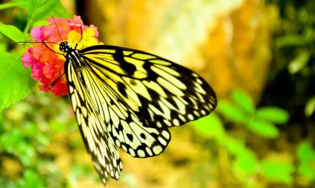 10 Must-See Sights of Cebu