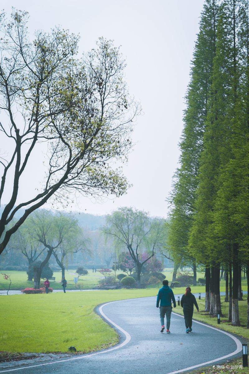 龍背山森林公園