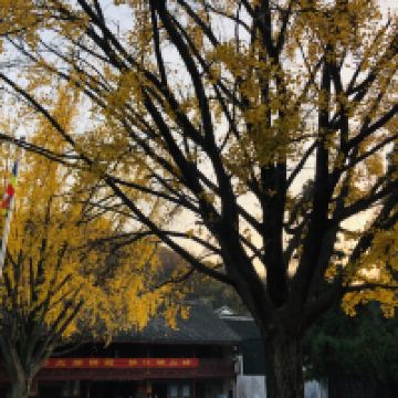 評論圖片 1