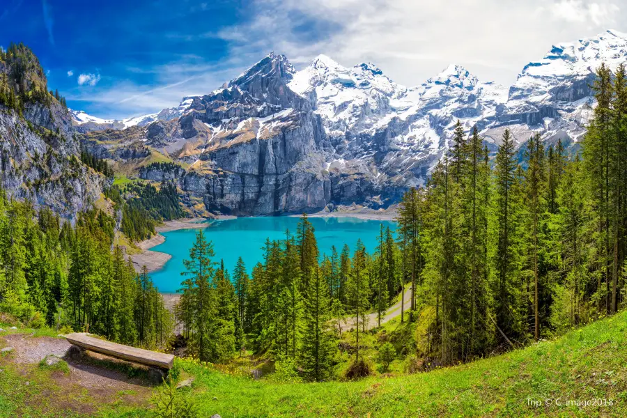 Bernese Alps