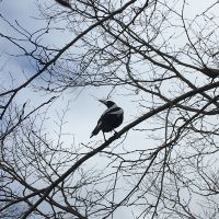 評論圖片 4