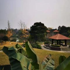 Emeishan Languang Jizhuang Hotel (Shanhu Road Branch) User Photo