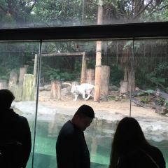 Emperor Penguin All Day Dining User Photo