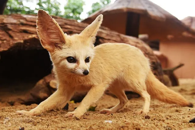 Top 10 Must See Spots in Shenzhen