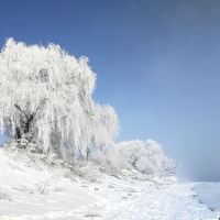 評論圖片 1
