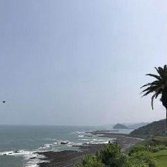 Michinoeki Phoenix User Photo