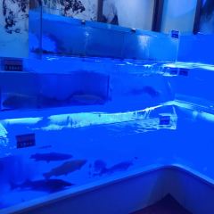 长白山温泉皇冠假日酒店·彩丰楼中餐厅 User Photo