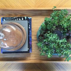 Wu Tong Mei Unique Cuisine User Photo