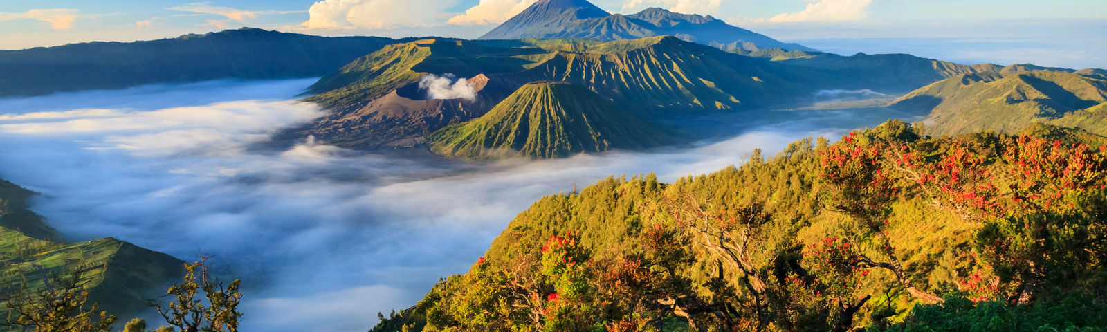 travel