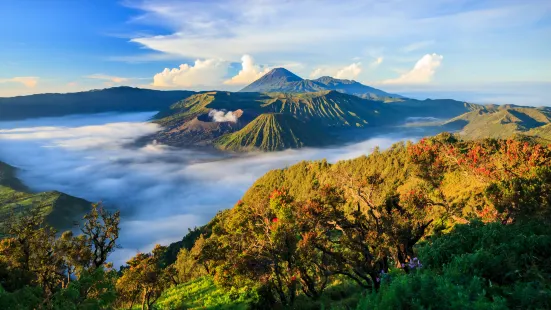 婆羅摩火山