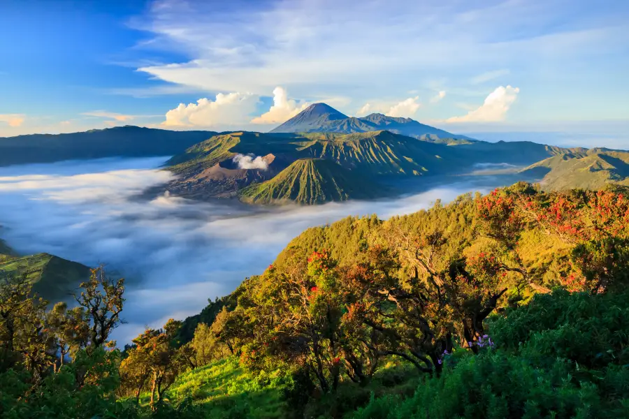 婆羅摩火山