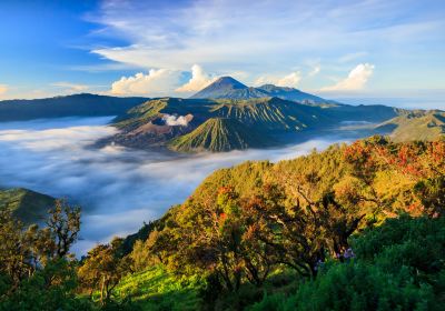 Núi Bromo