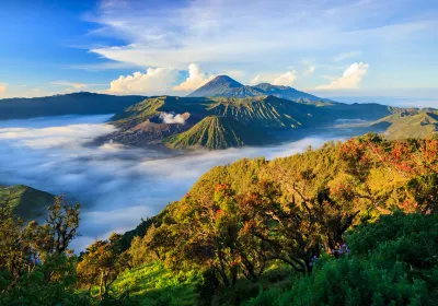 Bromo