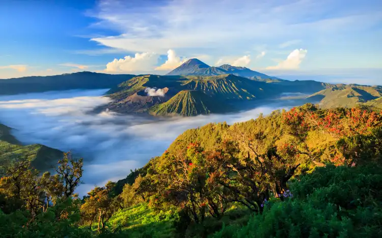 Hotels near Bromo via Pasuruan