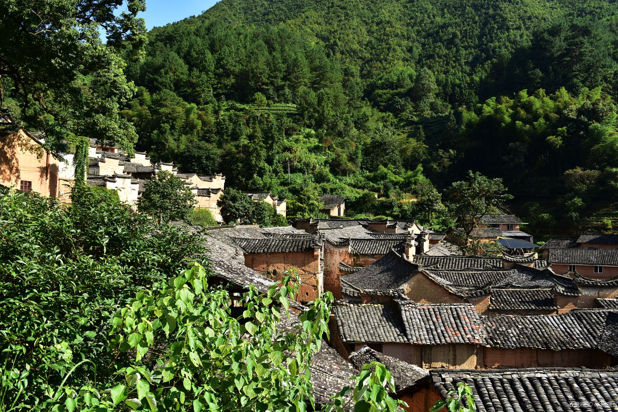 松陽楊家堂村【包車遊】松莊村+石門圩廊橋+陳家鋪村+松陽老街