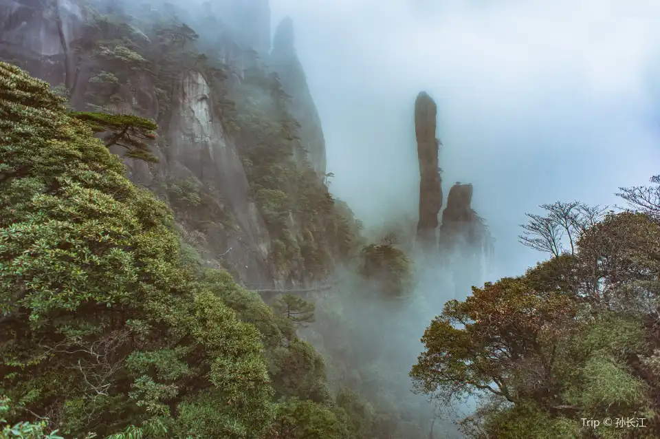 5_Giant Python Emerging from the Mountain