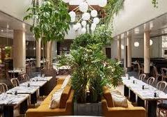 Alcazar張用戶圖片