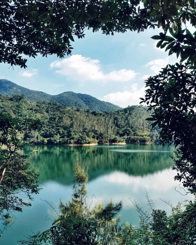 【行山路線推介🌄】2025初級山路盤點: 6條香港初級簡易行山徑，✅靚景✅3小時✅新手