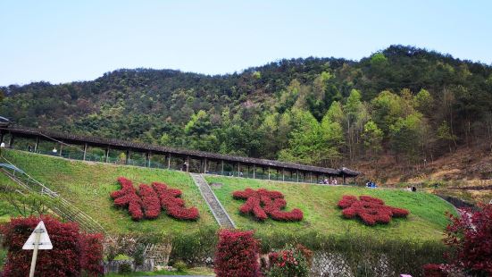 一直聽說這裏的桃花非常美，春光明媚的周末來到陽山畈村，可能是