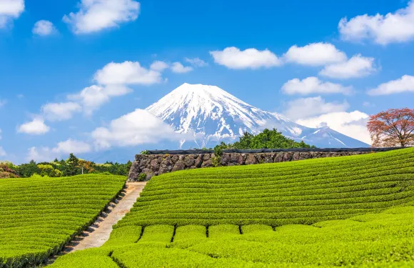 補差費/夜間服務費/急單費/套餐升級費