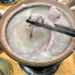 XING TAN GONG PING LIANG ZHENG User Photo