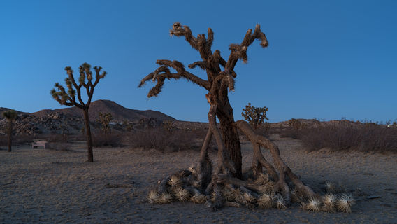 Saddleback Butte State Park