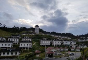 Jim Thompson's Tea Room at Bala's User Photo