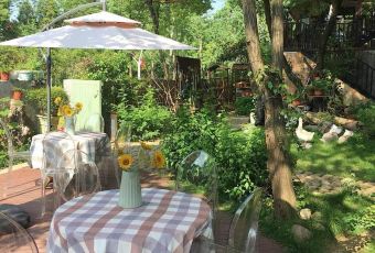 Café de Flore User Photo