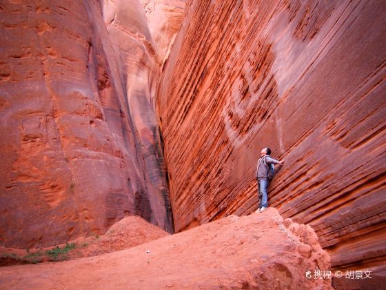 The Wave Valley