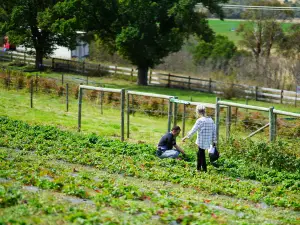 Coal River Farm