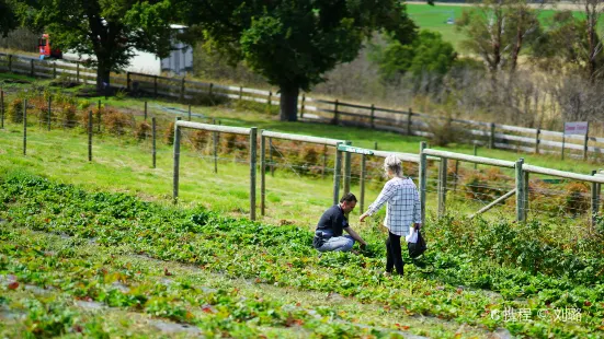 Coal River Farm