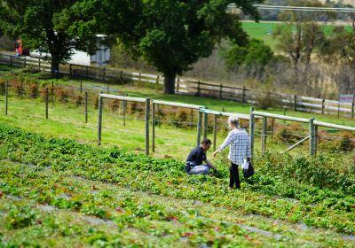 Coal River Farm