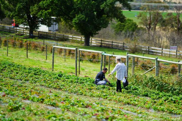 Coal River Farm